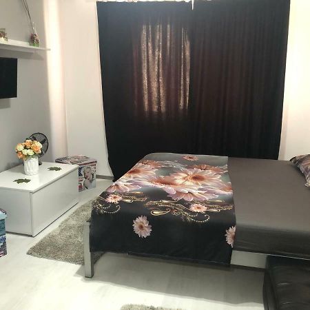 Апартаменты Garsoniera Aleea Trandafirilor Бэиле-Еркулане Экстерьер фото