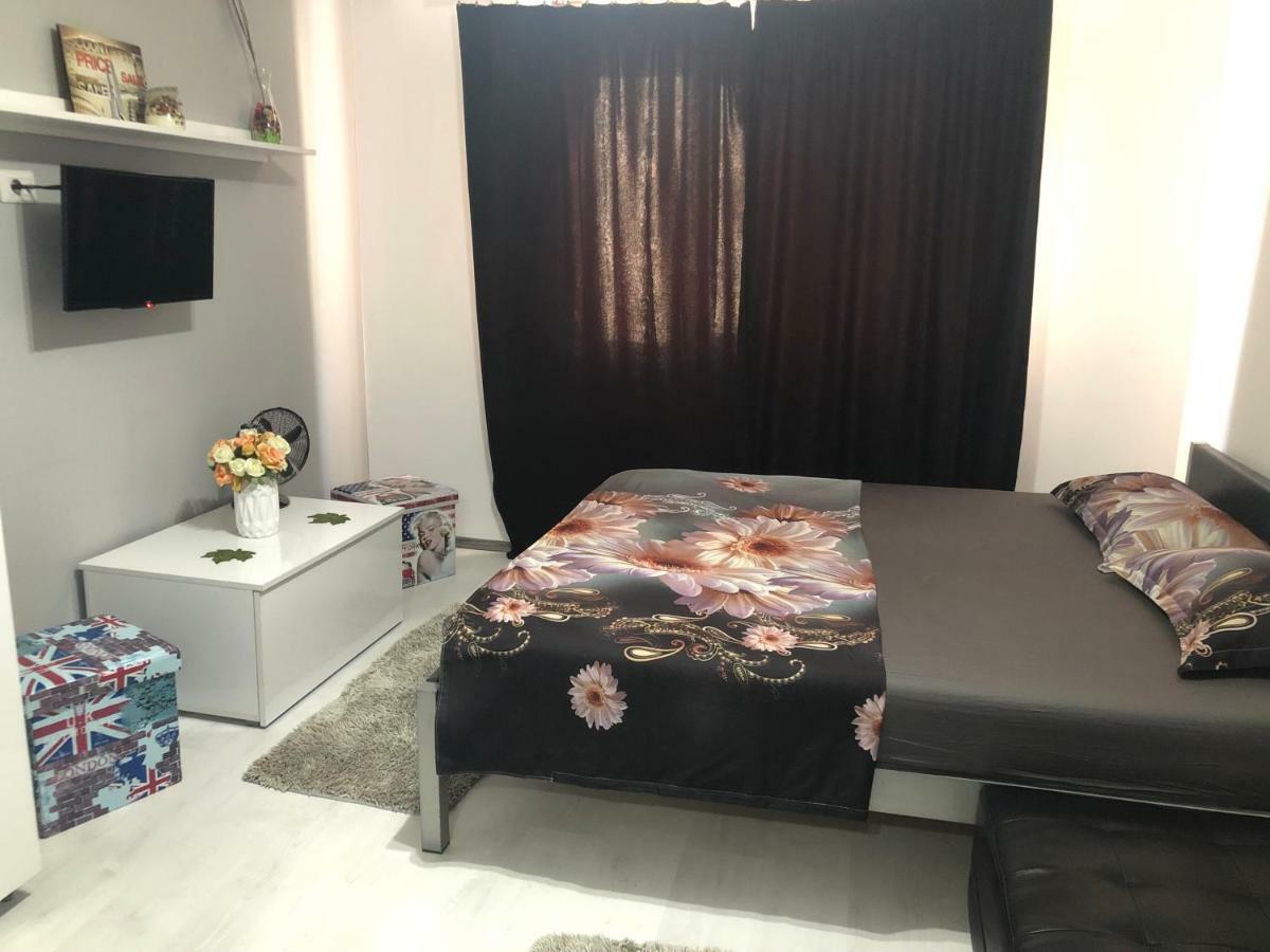 Апартаменты Garsoniera Aleea Trandafirilor Бэиле-Еркулане Экстерьер фото